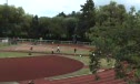 M 800 H02