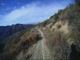 wmv9