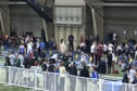M mile F01 (Meyo Mile, Thode hammers & Rae delivers)