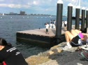 The Standoff