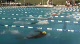 m club 100 lcm fly final hb d2