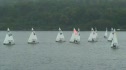 7b