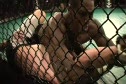 Phil Davis Beats Brett Chism