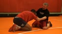 gator roll