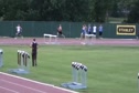 B 4x400 H01