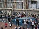 M dmr H01 (CHampionship)