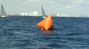 Alan Block in the Water