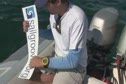 Applying the Stickers