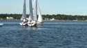 Canfield vs Sehested