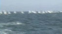 Championship Round - Yellow Race 13