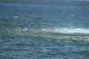 Coast Guard Practice Helicopter Rescue