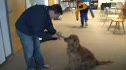 Cooper's Trick