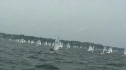 Day 2 - Purple Race 6