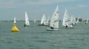 Day 4 - Radial Gold 9