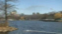 Firefighting the River