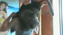 Genny Tulluch at Bad Ass Coffee