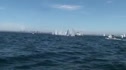 Lasers - Smythe Race 8 Clips