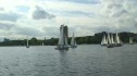 Mercury Gold Race 2