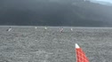 Multicam - Gold 2 Race 8 - St Marys vs Stanford