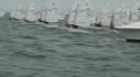Opti Race 4 - Pink-Yellow