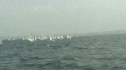 Pink Race 2