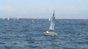Purple Race 1
