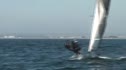 Race 1