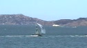 Race 2