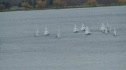 Race 4B