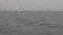Race 4