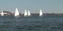 Race 8D