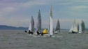 Race 8