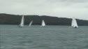 Radial Race 7