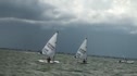 Radial Yellow Race 1