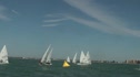Radial Yellow Race 2