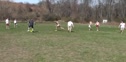 Wind Delay - Frisbee and Easter Bunny