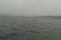 Race 2b