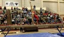 Brown (Victoria Zanelli) - 9.775