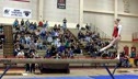 Cornell (Sarah Zelek) - 9.525