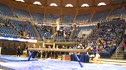 Florida (Alaina Johnson) - 9.875