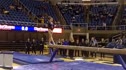 Florida (Mackenzie Caquatto) - Dismount Only