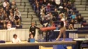 NC State (Taylor Seaman) - 9.650