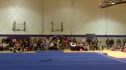 Bridgeport (Emily Repko) - 9.850