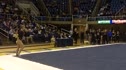 Florida (Amy Ferguson) - 9.775