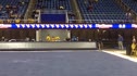 Florida (Ashanee Dickerson) - 9.875