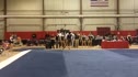 Ursinus (Johanna Warren) - 9.025