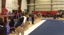 Ursinus (Stephanie Schmidt) - 9.300