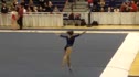 West Virginia (Kiersten Spoerke) - 9.725