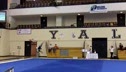Yale (Sherry Yang)