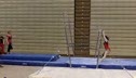 Cornell (Bethany Neczypor) - 9.675